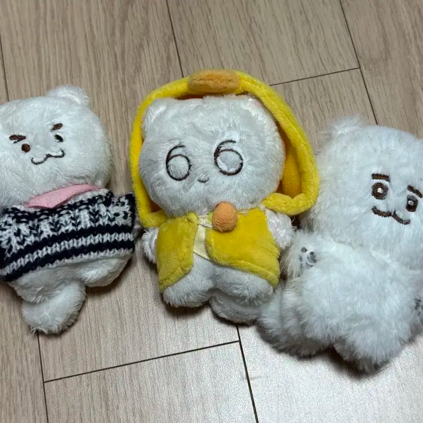 샤이니 금귤냥 3인방 키 태민 민호 일괄