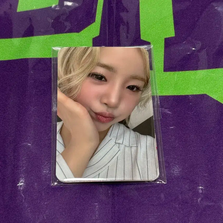 영파씨 쇼케이스 입장 포토카드 5장 세트 미개봉 양도