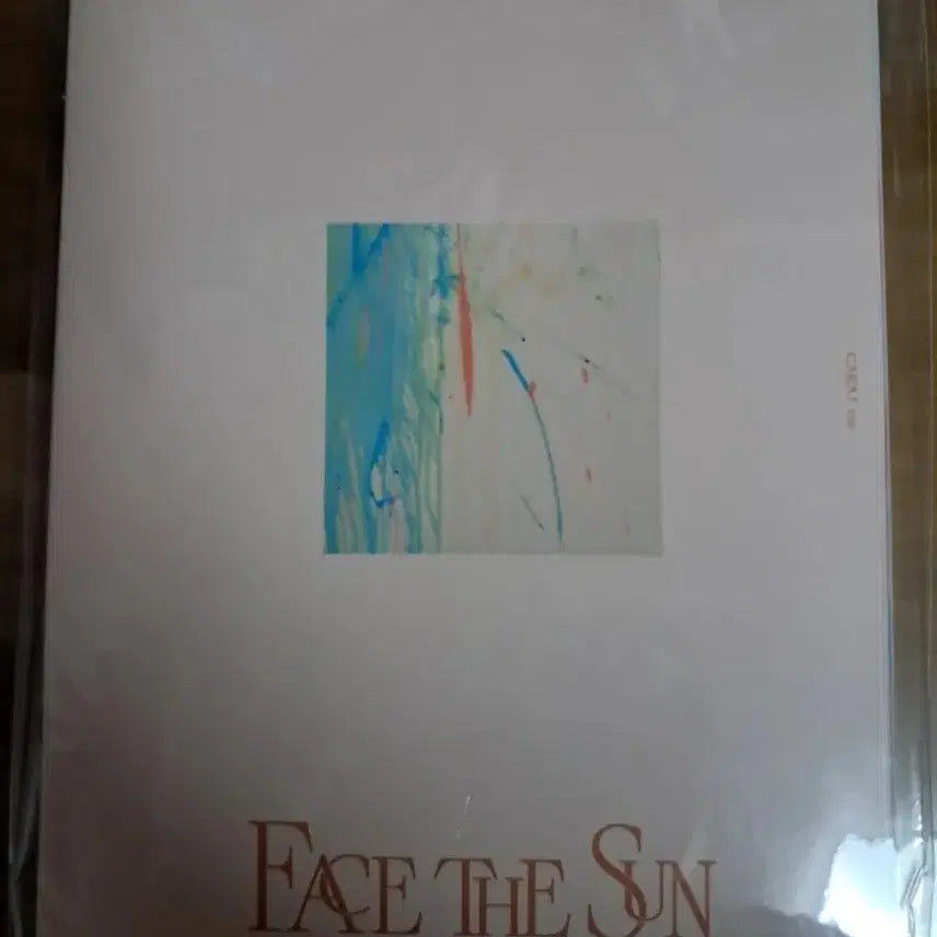 세븐틴 4집 페이스 더 선 도겸 캐럿반