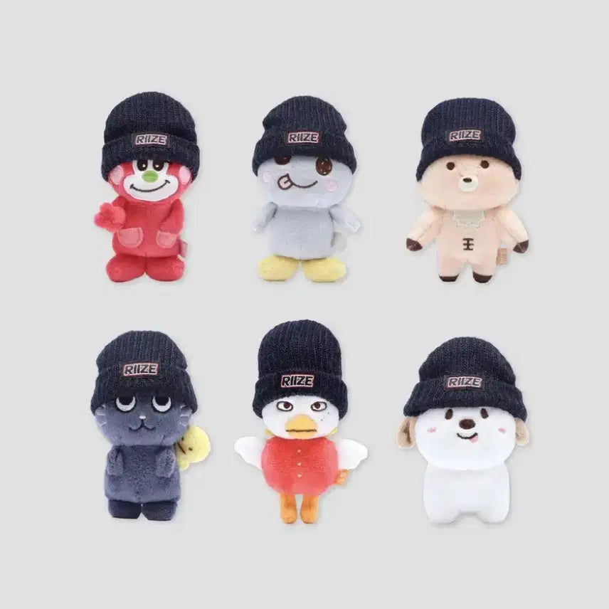 라이즈 10cm 인형 비니 양도