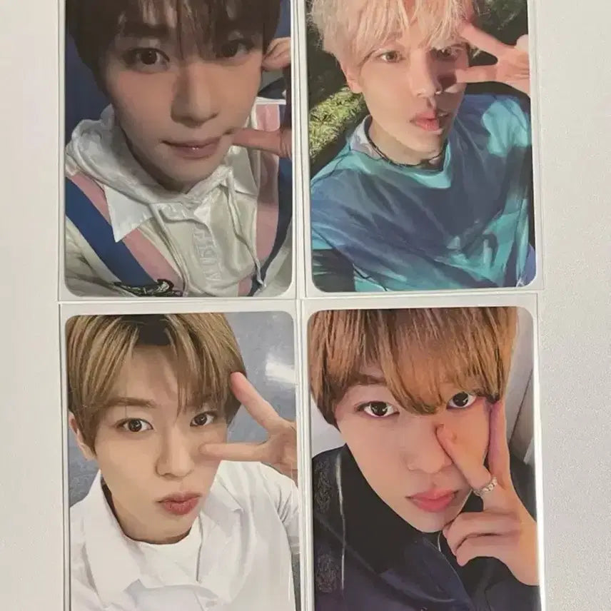 엔시티 위시 시온 포카 뮤직코리아 헬로라이브 송버드 스오위