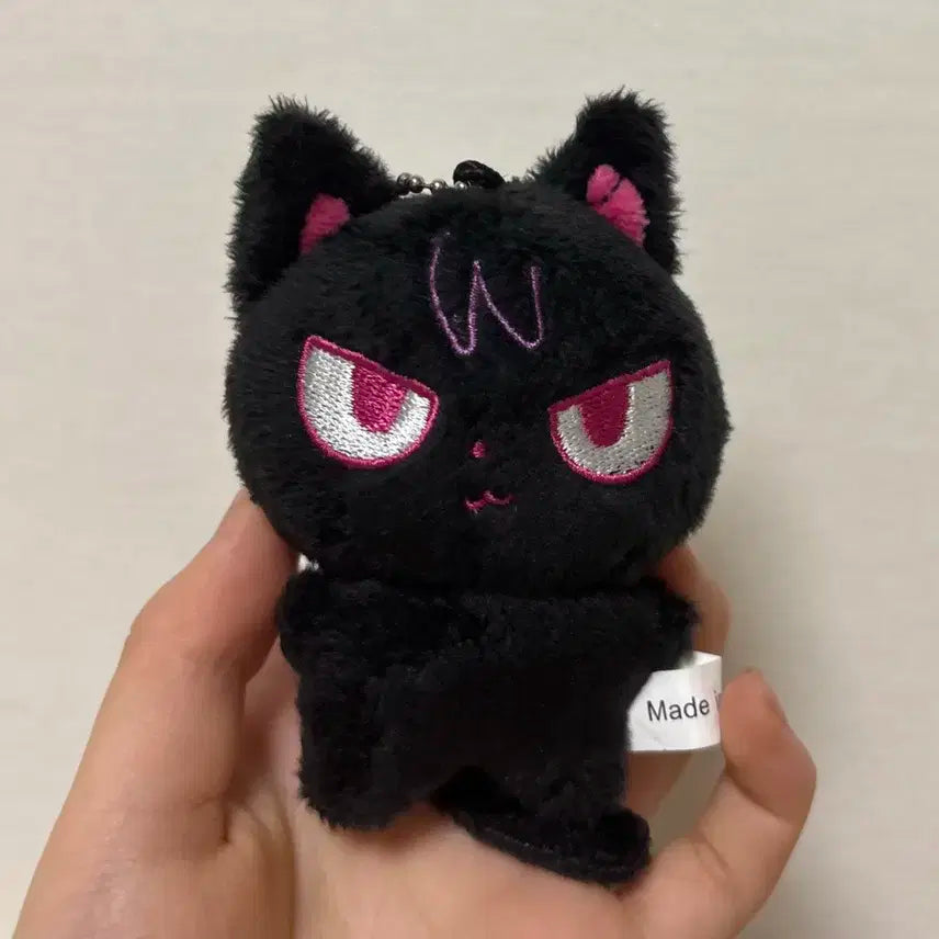 코냥