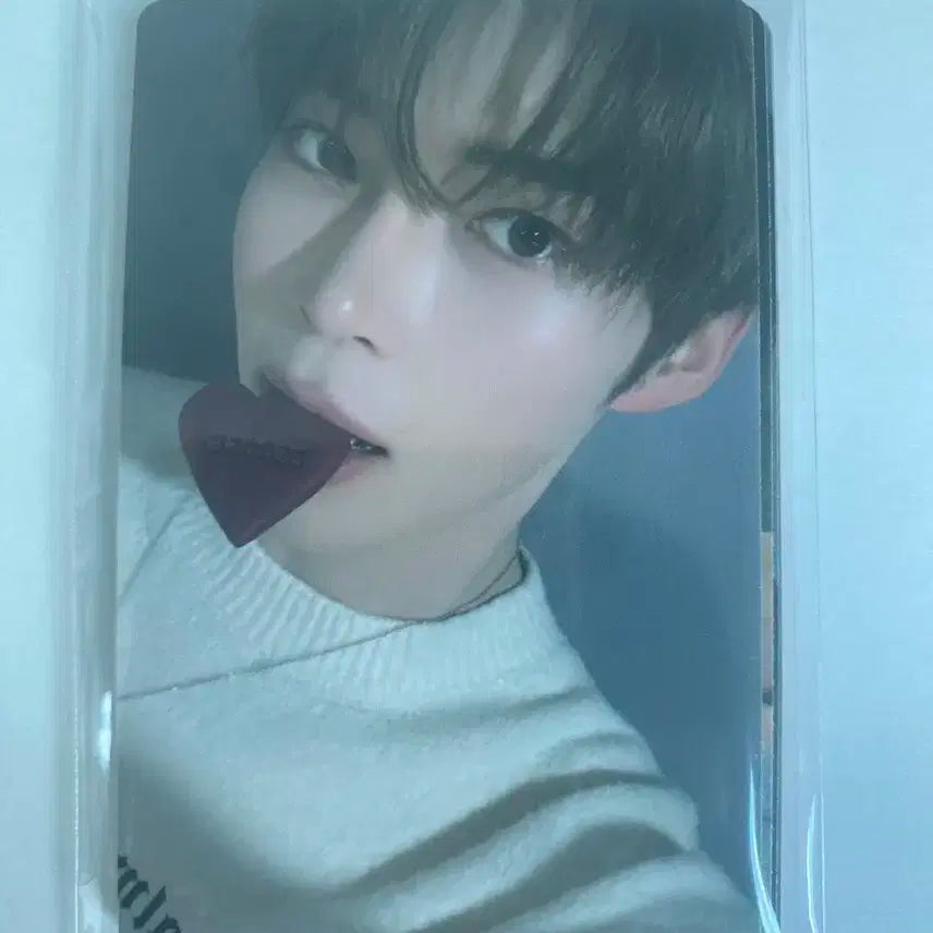 제로베이스원 쿠키 포토카드