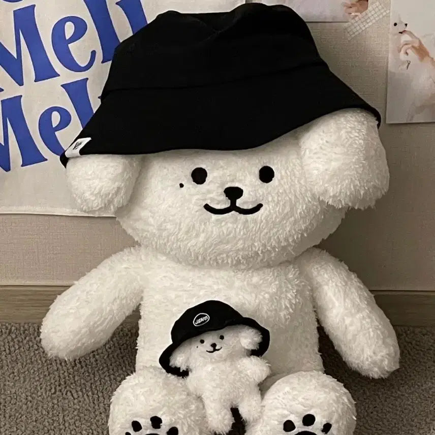 젠몽이 10cm 제노 nct 인형 양도 엔드림 doll goods 비공굿
