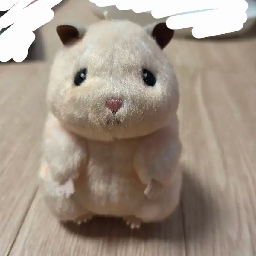 뚱중햄