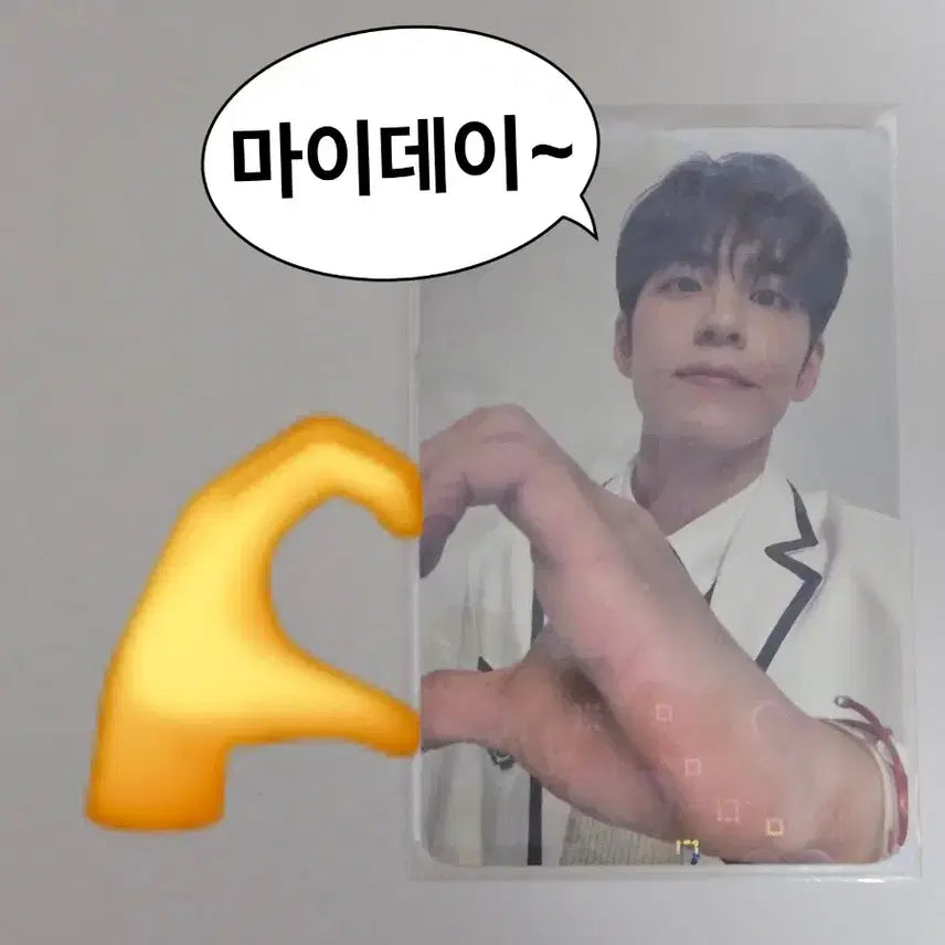 원필 웰투쇼 4만원 엠디 포카