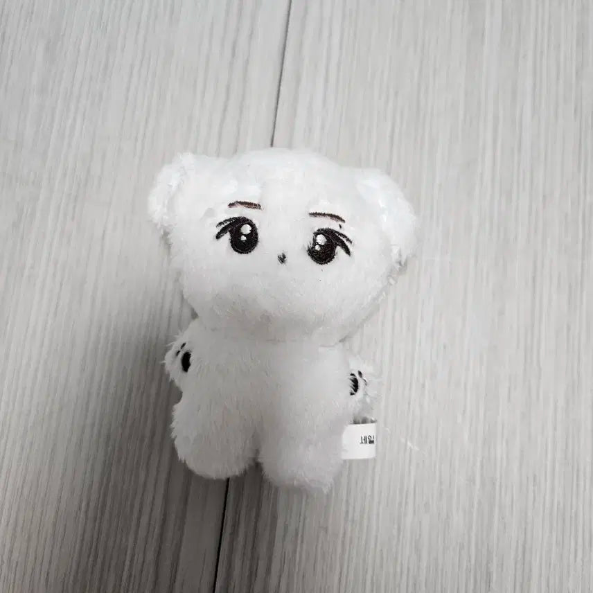 숑뭉이 판매합니다