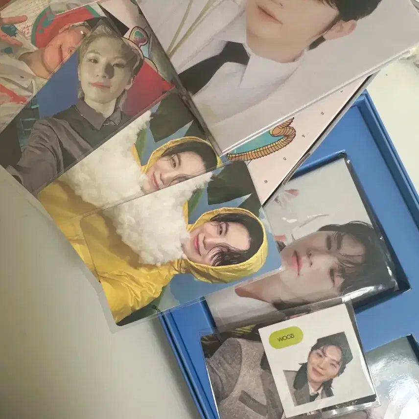 우지 캐럿반 바인더,포카