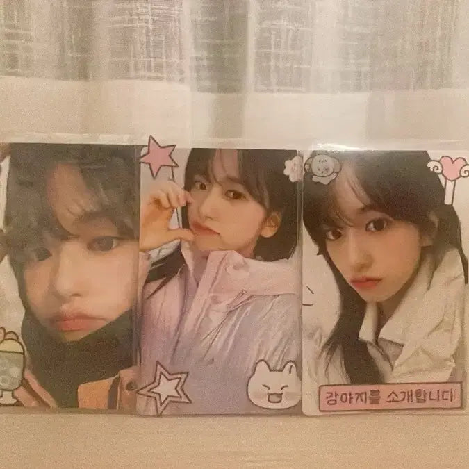 네파 유진이 3장 일괄판매