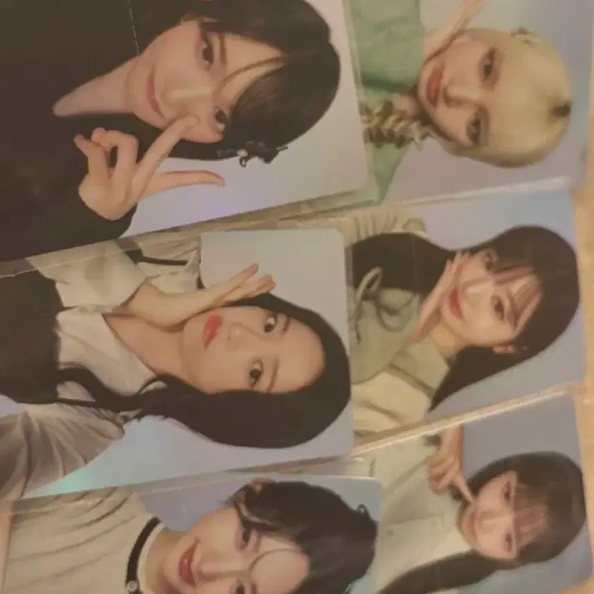 아이브 파파존스 포카 일괄