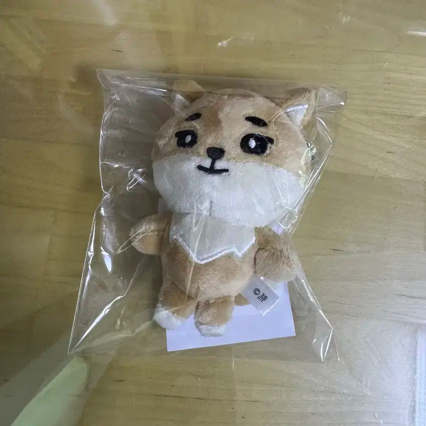 데이식스 일본엠디 데니멀즈 백참 케