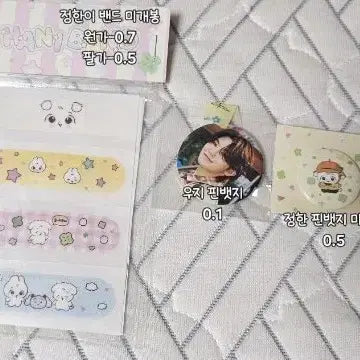 세븐틴 정한 밴드 비공굿 우지 핀뱃지 핀버튼