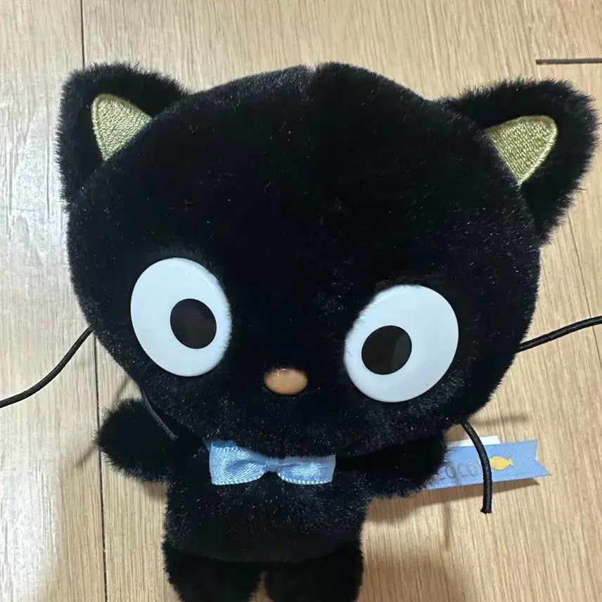 초코캣 인형 라이즈 원빈 엔시티위시 리쿠