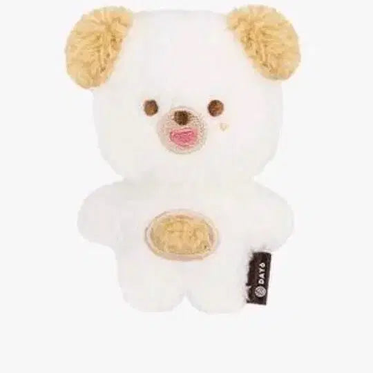 데이식스 쁘띠멀즈 마그넷 돈