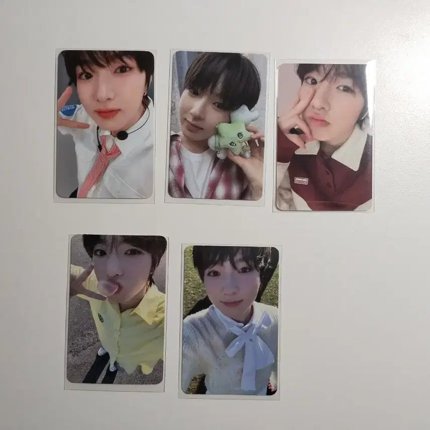 사쿠야 포카 일괄