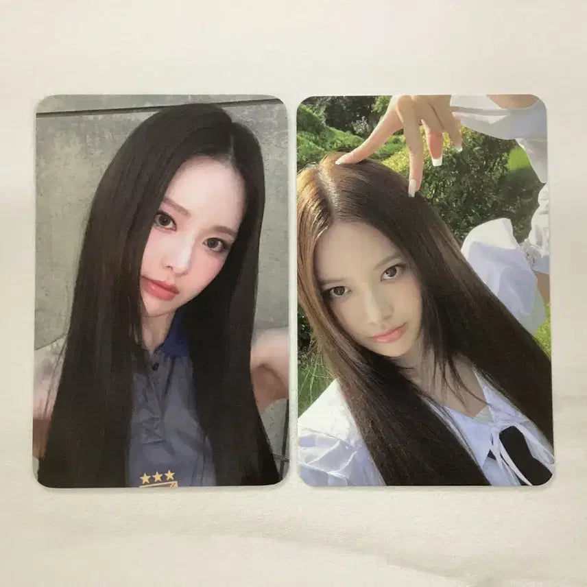 이즈나 방지민포카 일괄판매