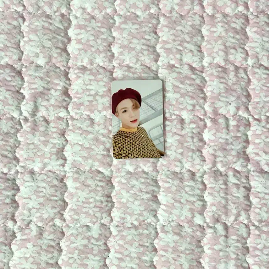 엔시티 드림 위고업 제노 포카 앨범 일괄 nct dream