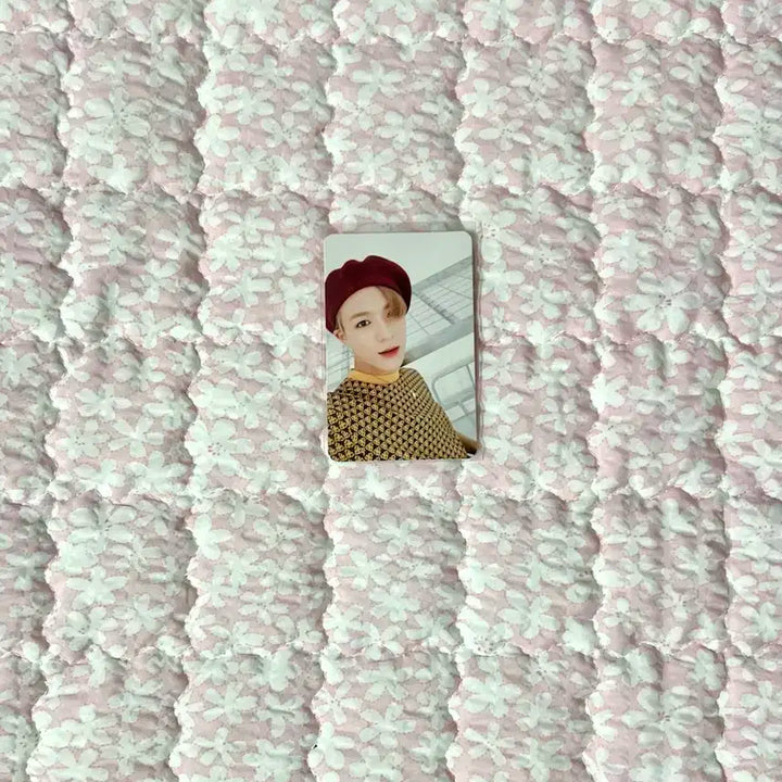 엔시티 드림 위고업 제노 포카 앨범 일괄 nct dream