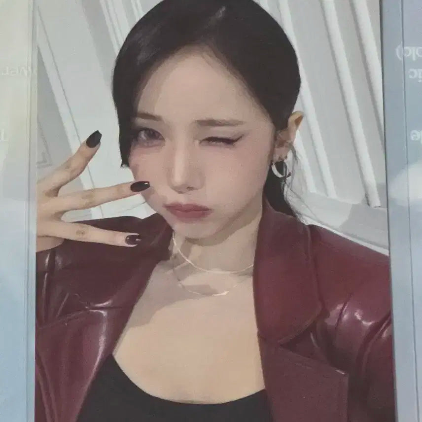 비비지 신비 콘서트 md 5만원 포카