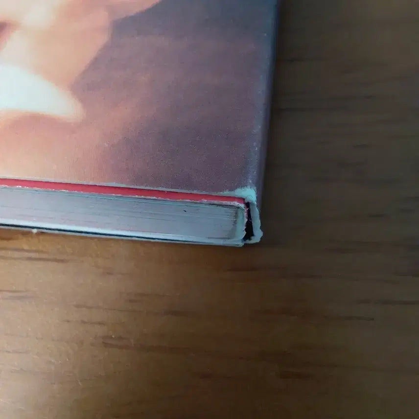 아이들 화 앨범 (개봉)