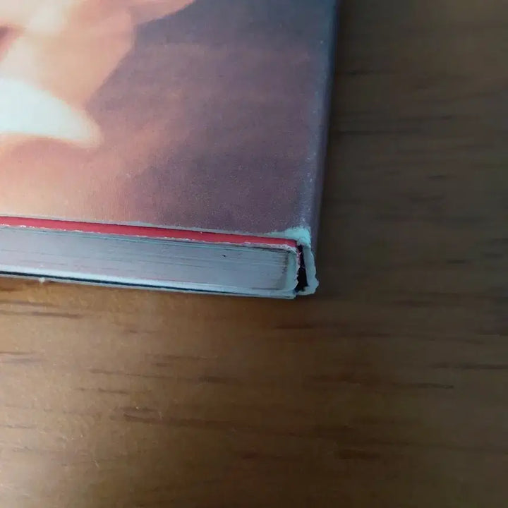 아이들 화 앨범 (개봉)