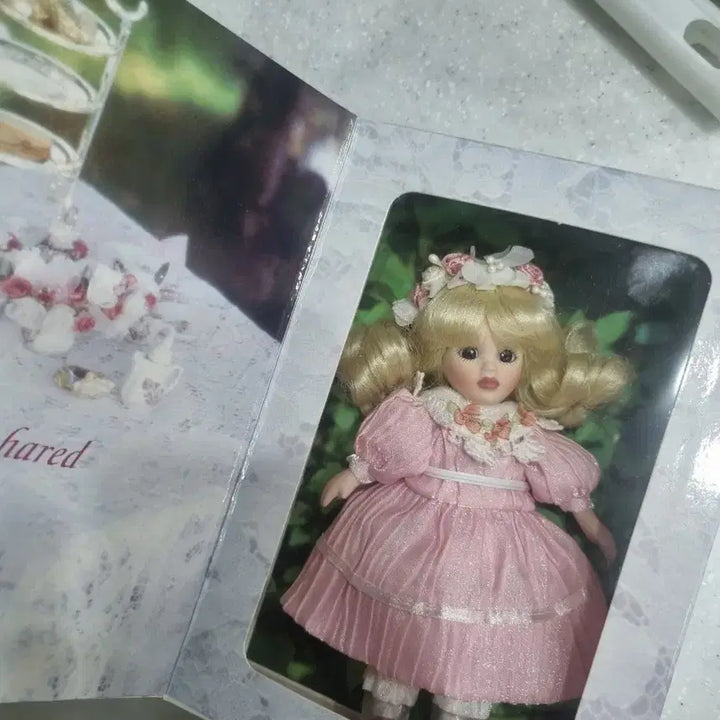 마담 알렉산더  포세린돌