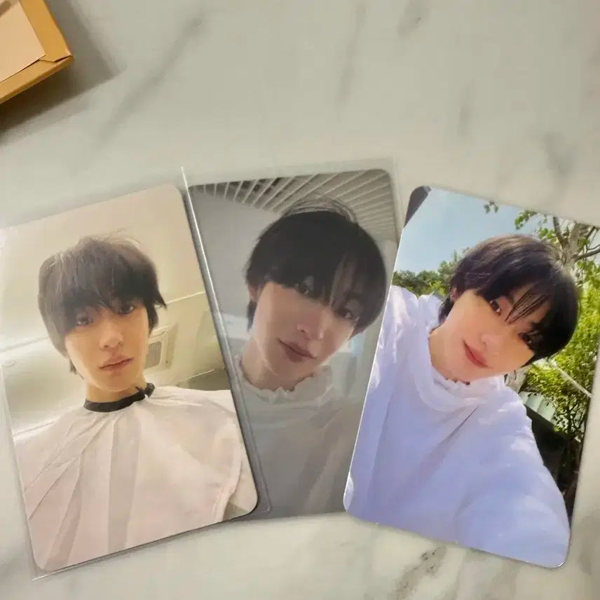 앤톤 포카 미용실, 전시회, 자연광 일괄 양도