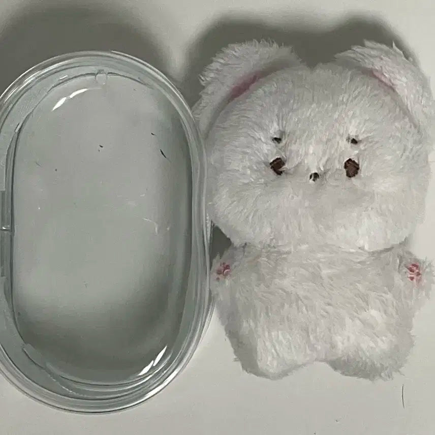 보이넥스트도어 솜넥도 이한