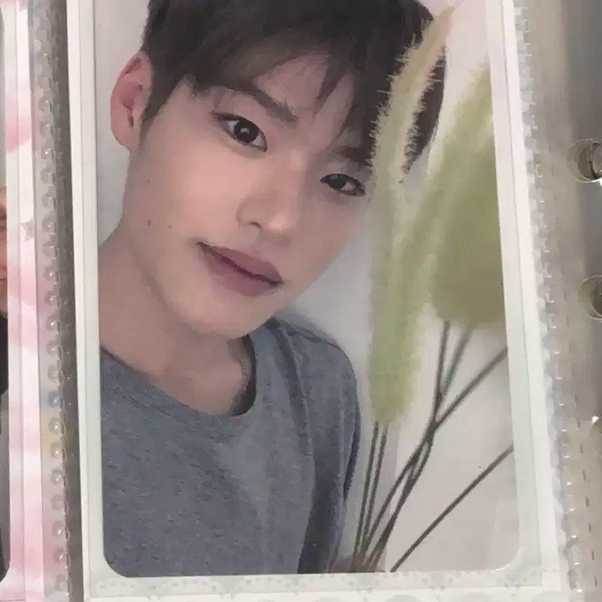 라이즈 소희 디마뮤 디어마이뮤즈 포토카드 포카 양도