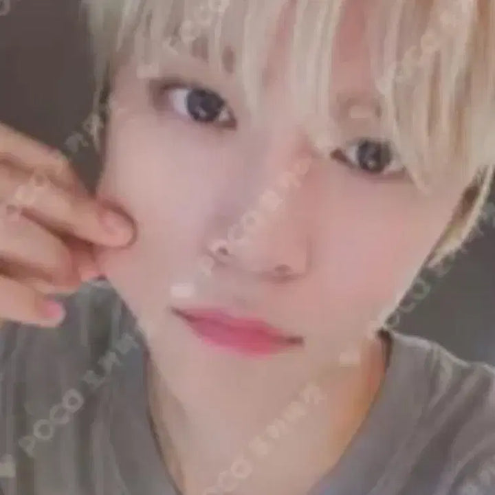 라이즈 은석 잇다 itta 럭드 만두 볼꼬집 포카 양도