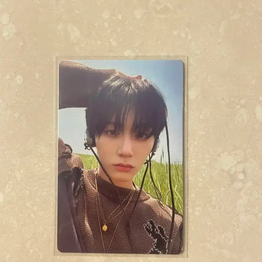 보넥도 태산 포카