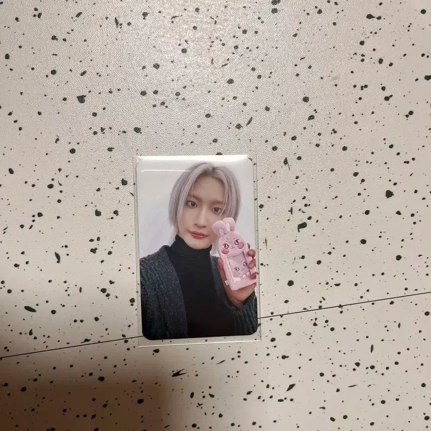 8월까지)에이티즈 애니티즈 성화 드림랜드 포카 포토카드 ateez