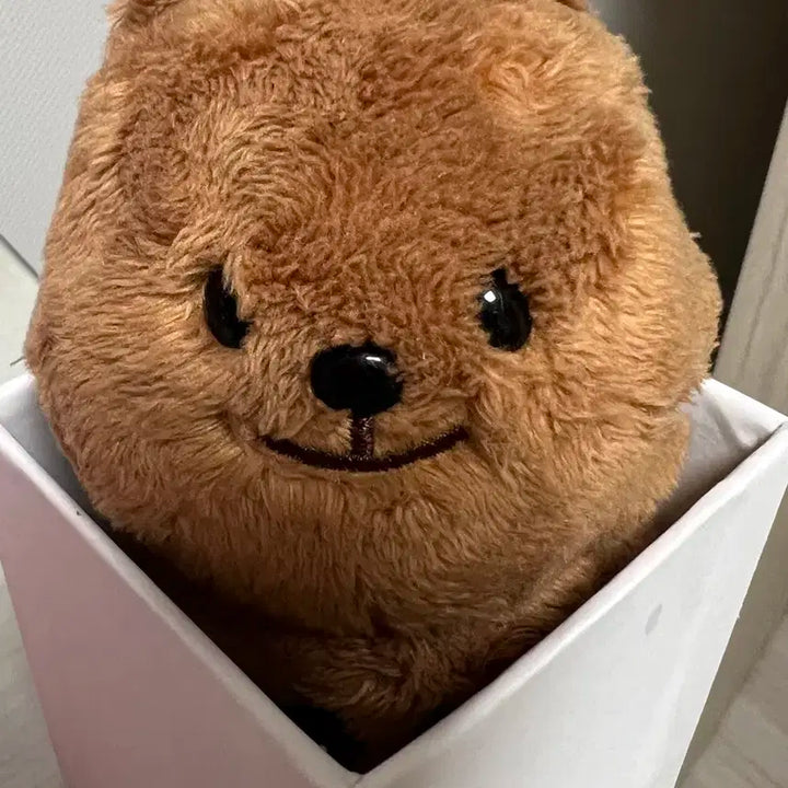 엔시티 정우 인형 쩡카