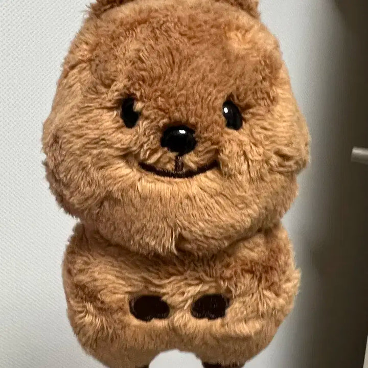 엔시티 정우 인형 쩡카