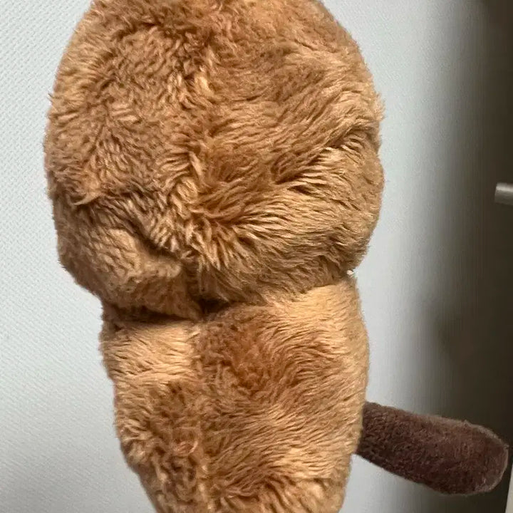 엔시티 정우 인형 쩡카