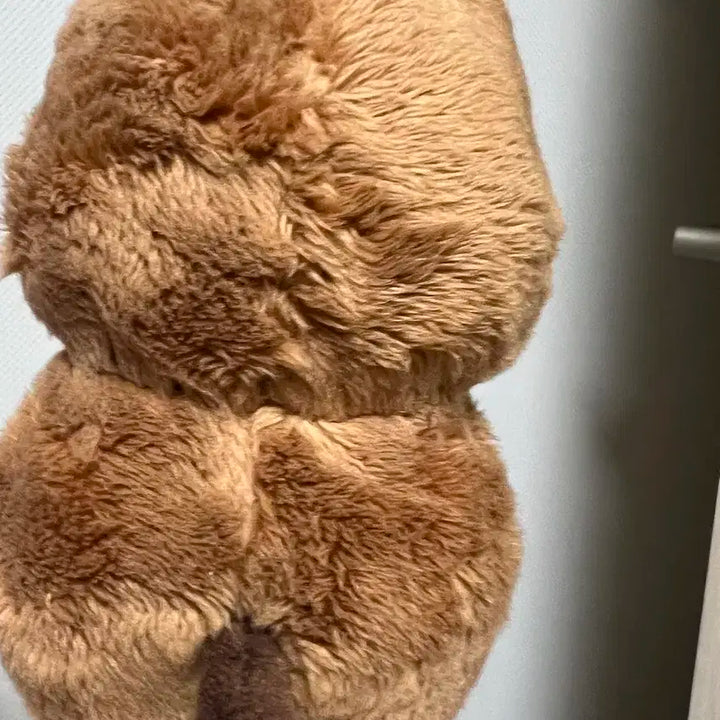 엔시티 정우 인형 쩡카