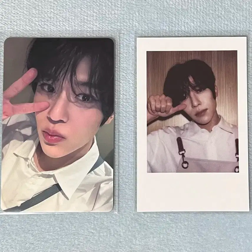 엔시티위시 스테디 kms 상하이 팬싸 시온 포카 일괄 양도