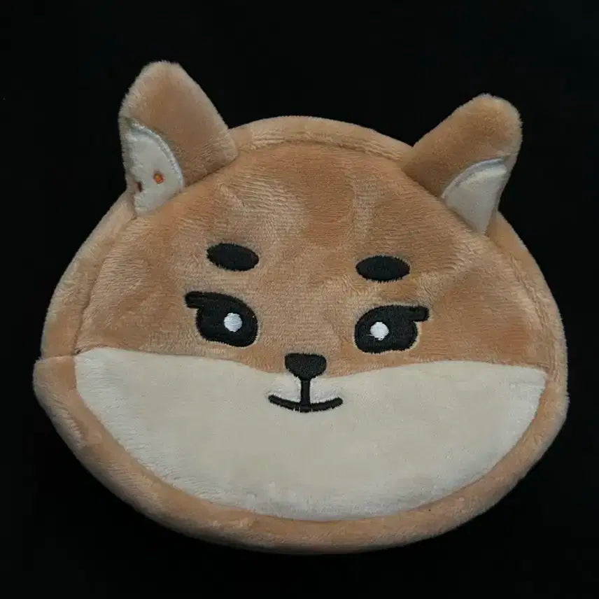 데이식스 데니멀즈 일본 콘서트 굿즈 얼굴 파우치 영케이