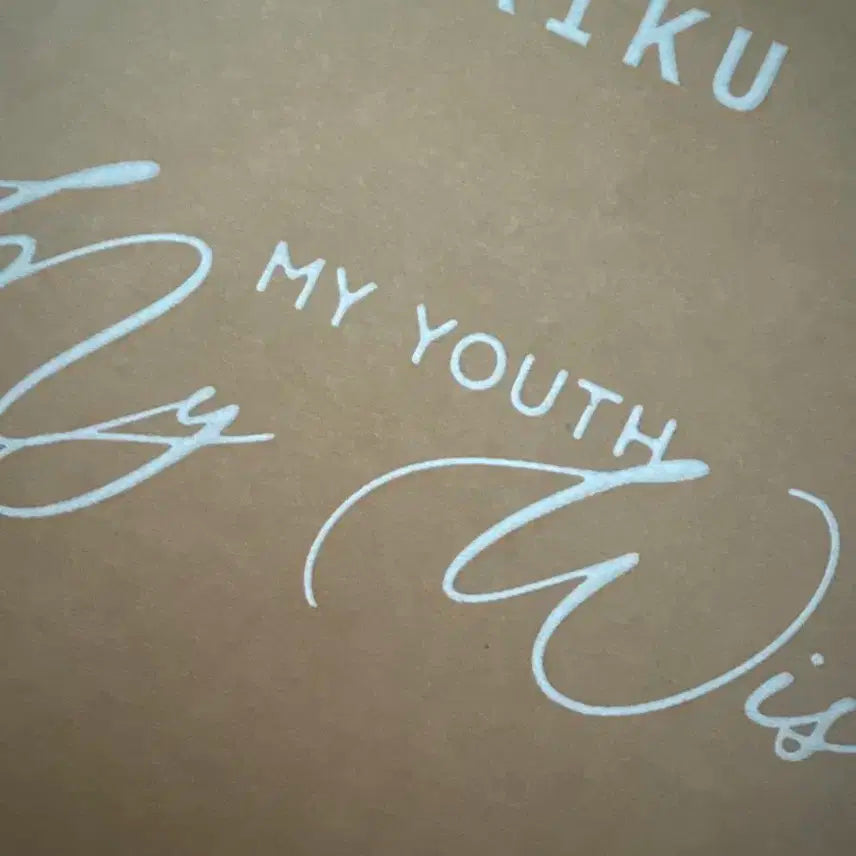 디아이콘 리쿠 a버전 양도