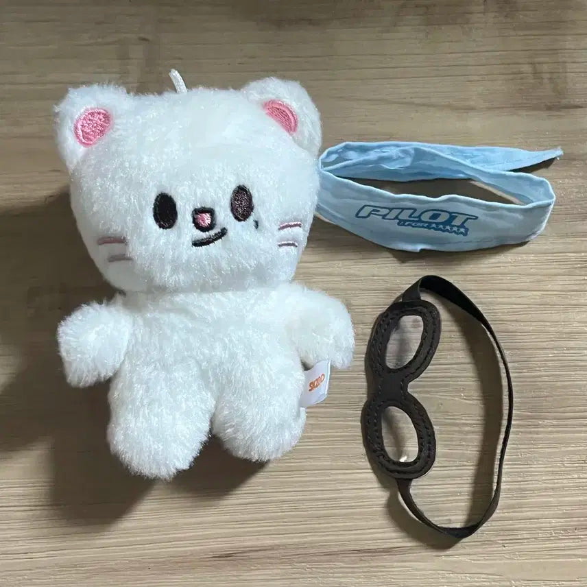 외출 경험이 있는 용감한 지니렛 미니 스키주 현진