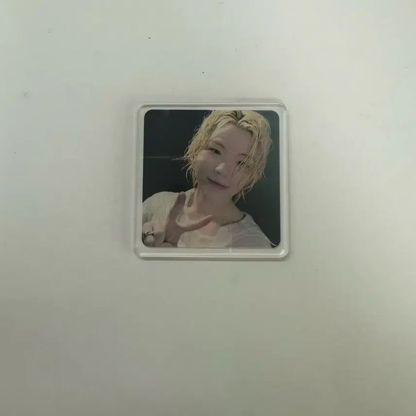 세븐틴 마그넷