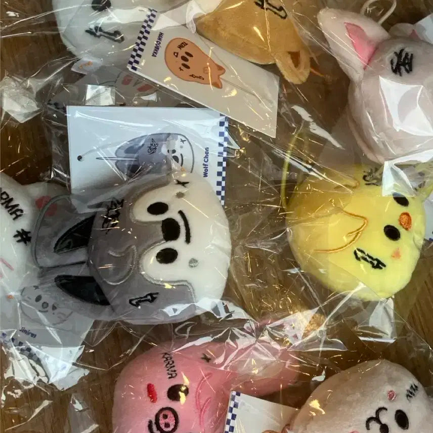 스트레이키즈 스키주 네임택 skzoo 양도 팝업 엠디 포카 퍼핌 한쿼카