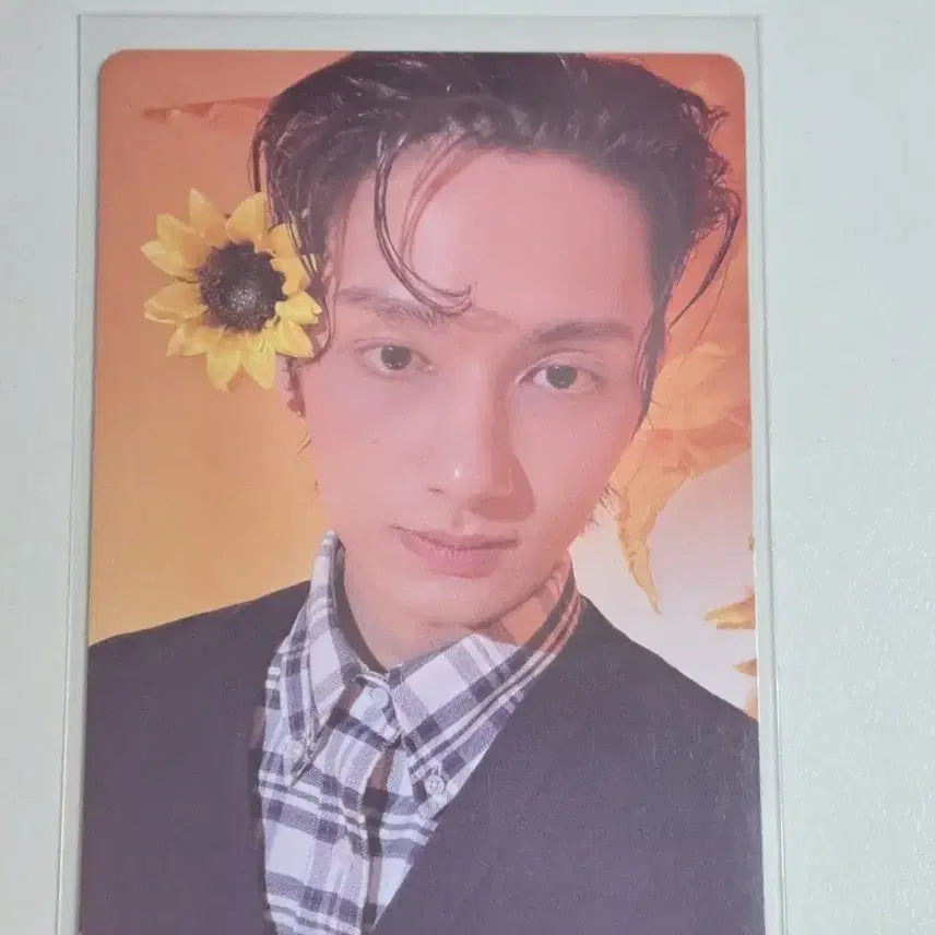 세븐틴 준 포카 양도