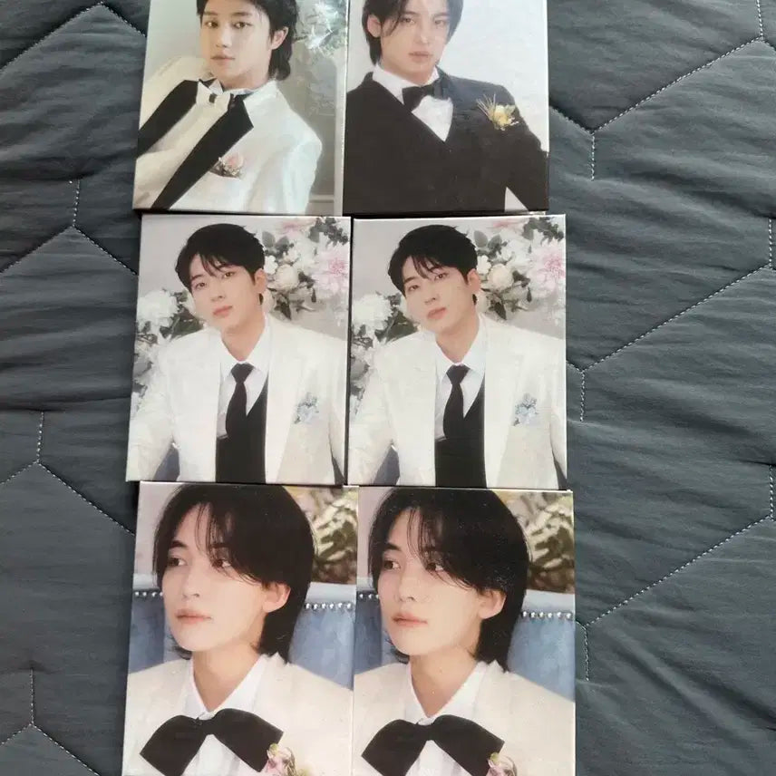 세븐틴 FML 캐럿반 일괄 판매