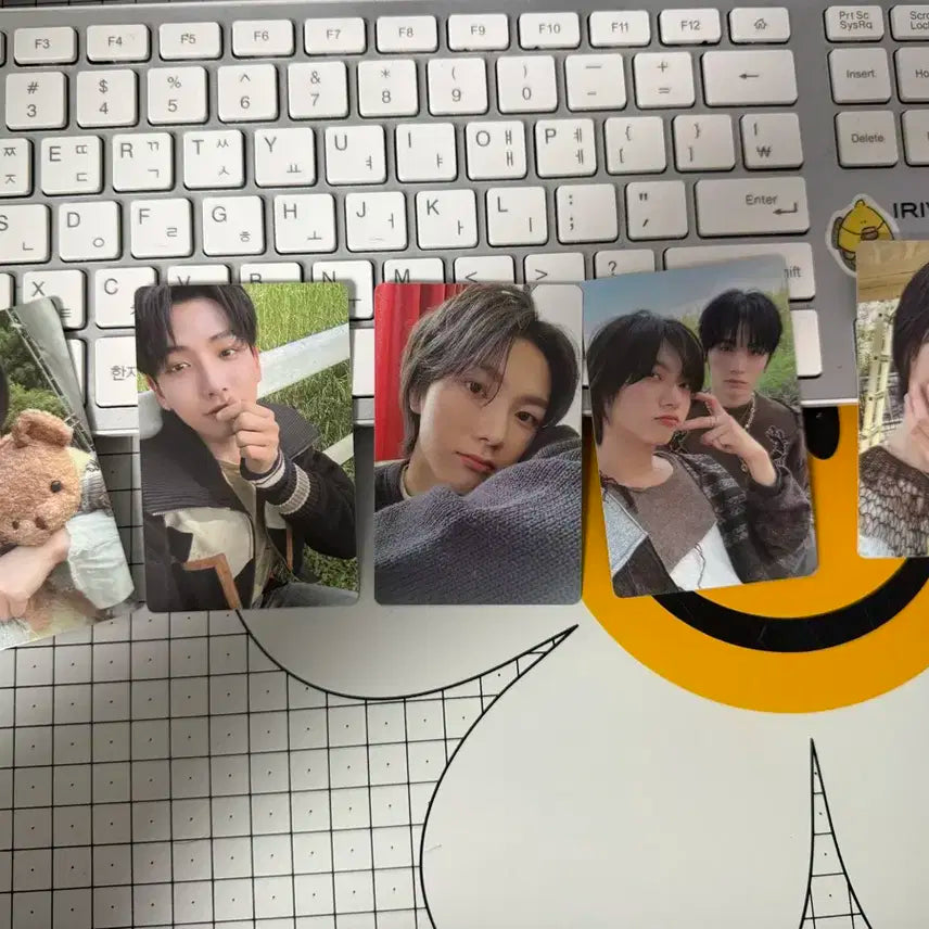 보넥도 포카 판매