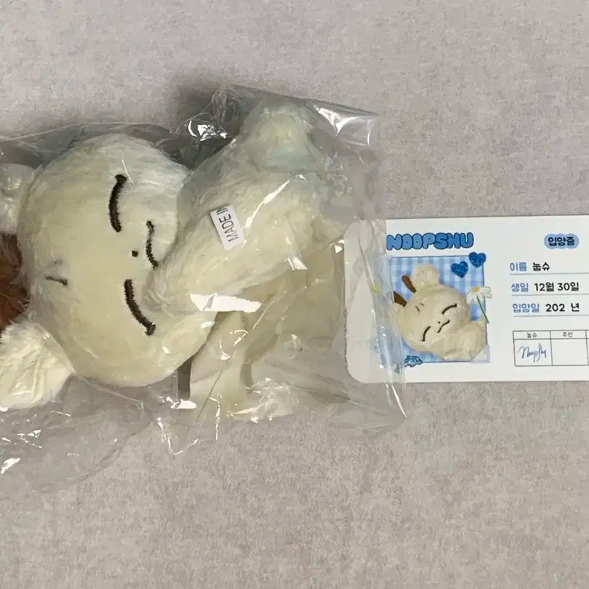 세븐틴 눕쫑 눕슈 미개봉 일괄