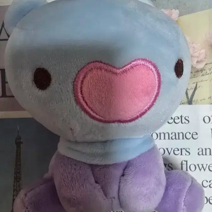 BT21 망 봉제인형 MANG 인형