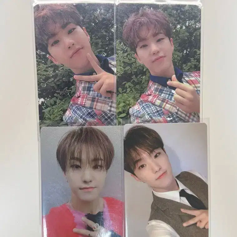 세븐틴 호시 언오드 앨범 포카 일괄 양도