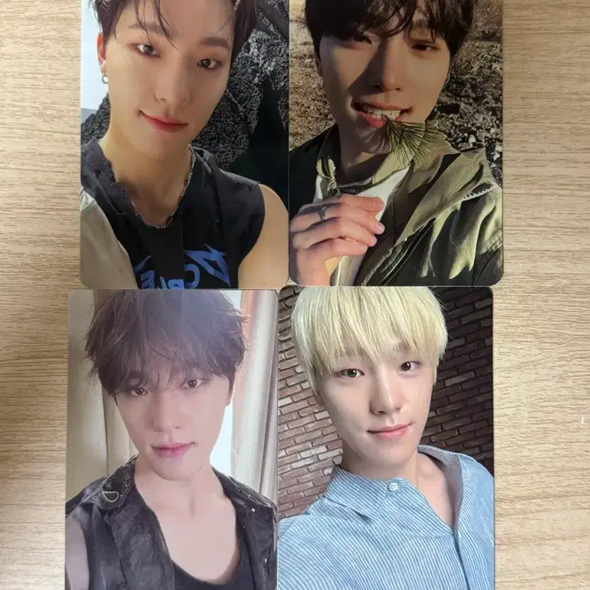 세븐틴 디노 포카 4장 일괄 판매