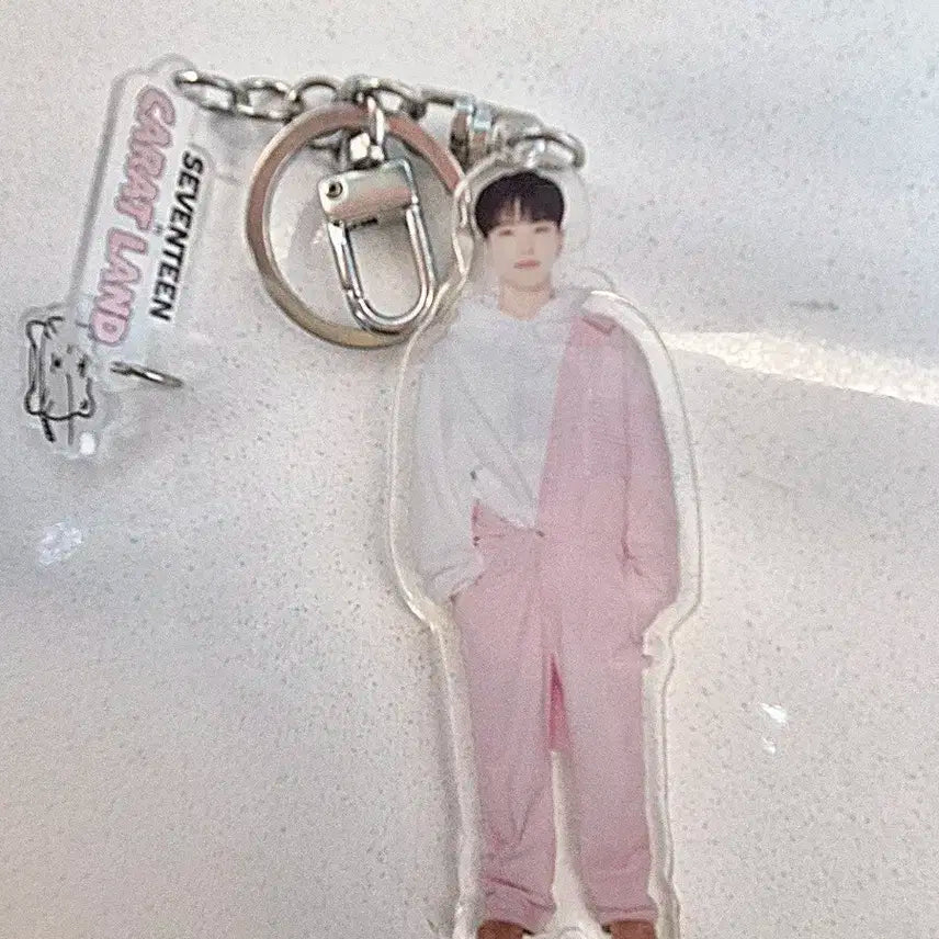 세븐틴 캐럿랜드 호시 아크릴